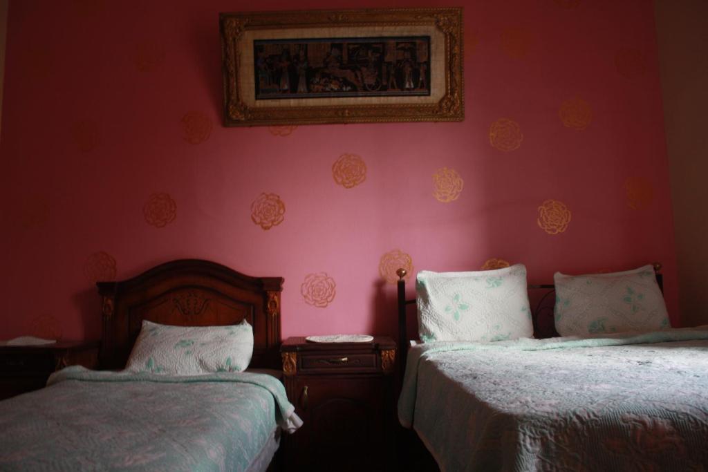 Hola Cairo Hostel ห้อง รูปภาพ